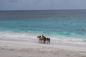 Harbour Island house rental