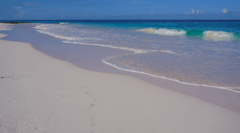 oceanfront vacation rental Harbour Island