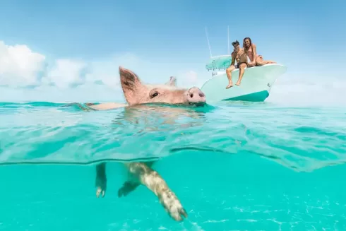 luxury houses bahamas